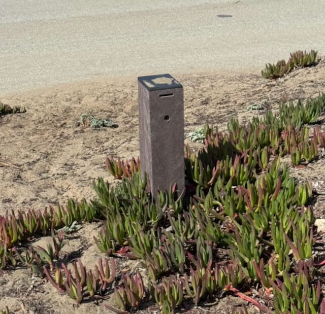 The counter box on the former Great Highway just north of Lawton: a waist-high grey post standing in ice plant at the edge of the roadway, with a slot and a lens on the side facing the road.